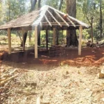 ಕರಾವಳಿಯಲ್ಲಿ ಮತ್ತೆ ಎಂಡೋಸಲ್ಫಾನ್ ಭೀತಿ: ಆರೋಗ್ಯ ಇಲಾಖೆಯಿಂದ ಆಘಾತಕಾರಿ ವರದಿ